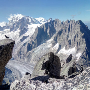 Climbers Against Cancer at MelloBlocco