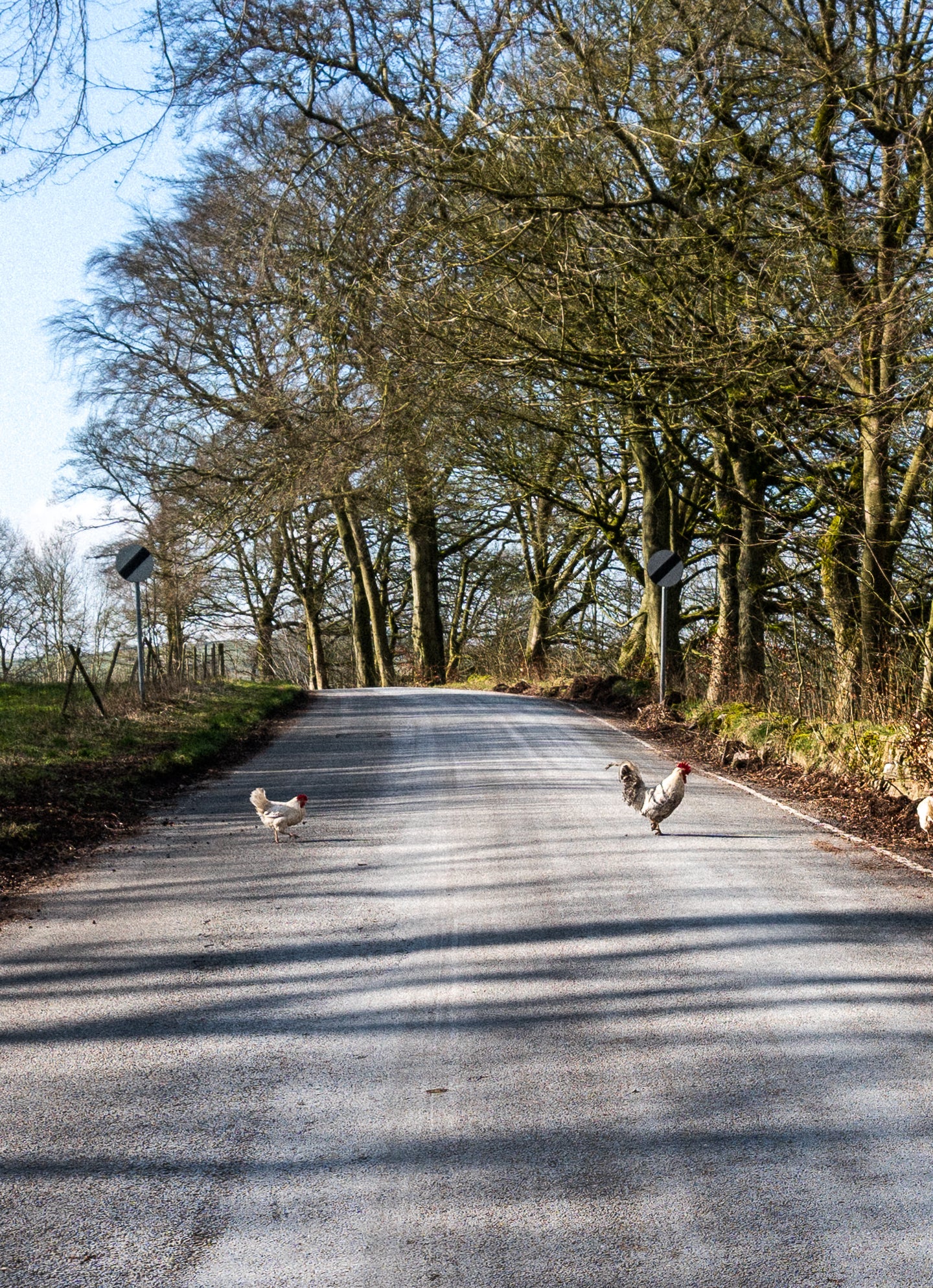 Home Roads Circular Commuting