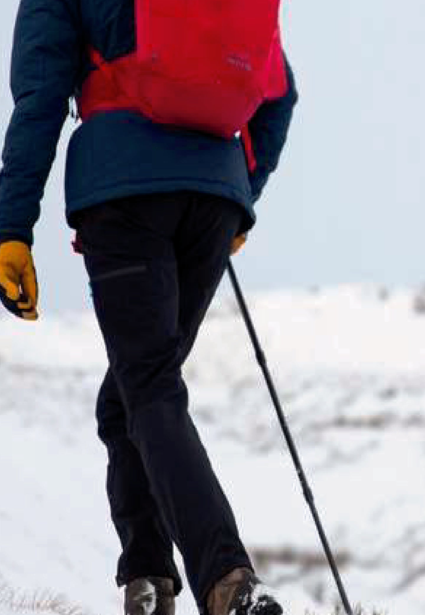 Ardent named 'Best Value' by Trail Magazine