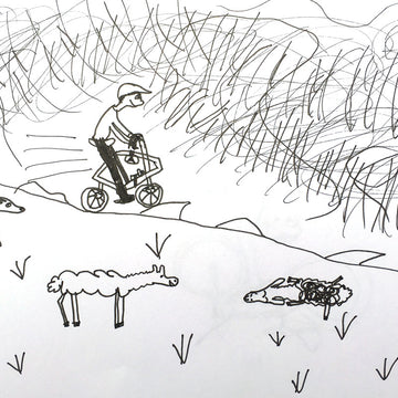 The Trans-Cambrian Way Loop