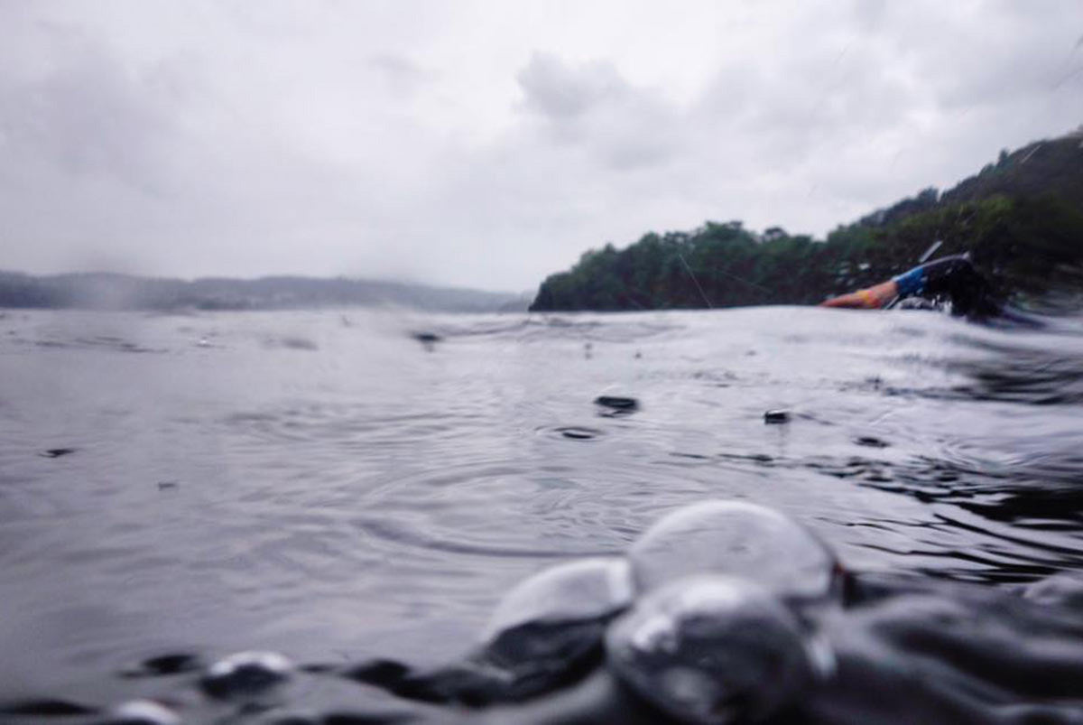 Project Big Swim