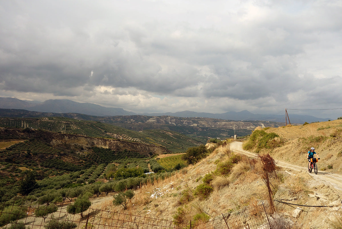 Blindly Seeking Sunshine… and Zeus…