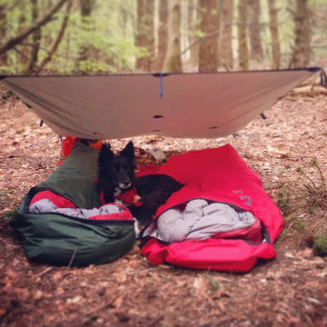 Essential Summer Wild Camping Bivvy Gear