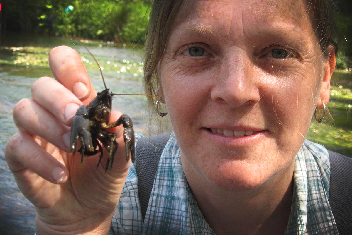 Save the Crayfish