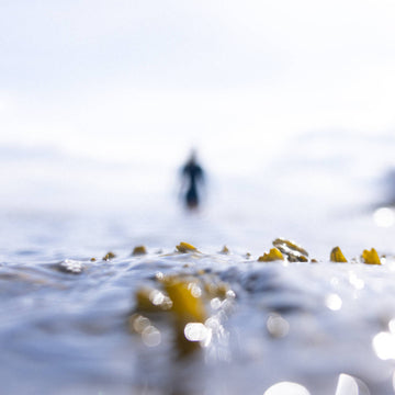 Outdoor swimmers entering the water in wetsuits