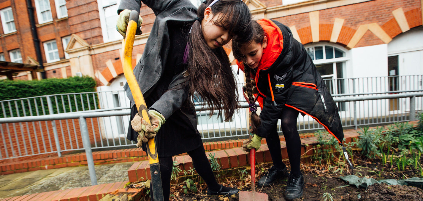 Green Schools Project helps explore and connect with nature