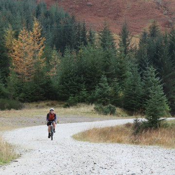 Camino gravel bike