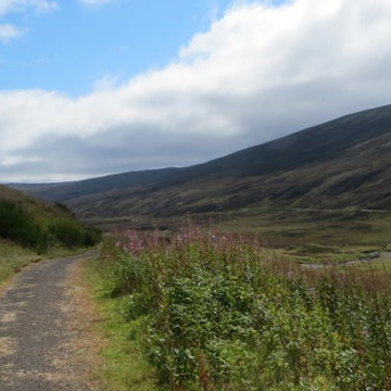 Off-Road Family Bikepacking