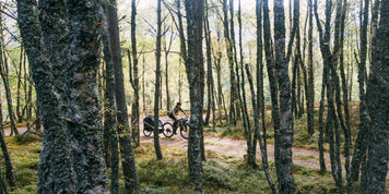 Off-Road Family Bikepacking