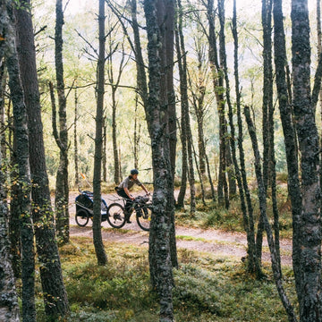 A festive bike ride