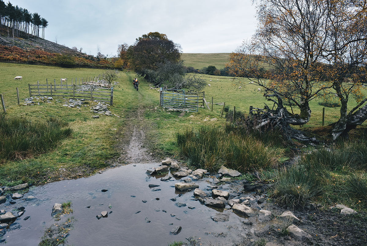 Offa's Dyke Leads Home