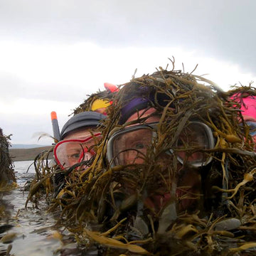 Swimming Loch Dunvegan to Dunvegan Castle