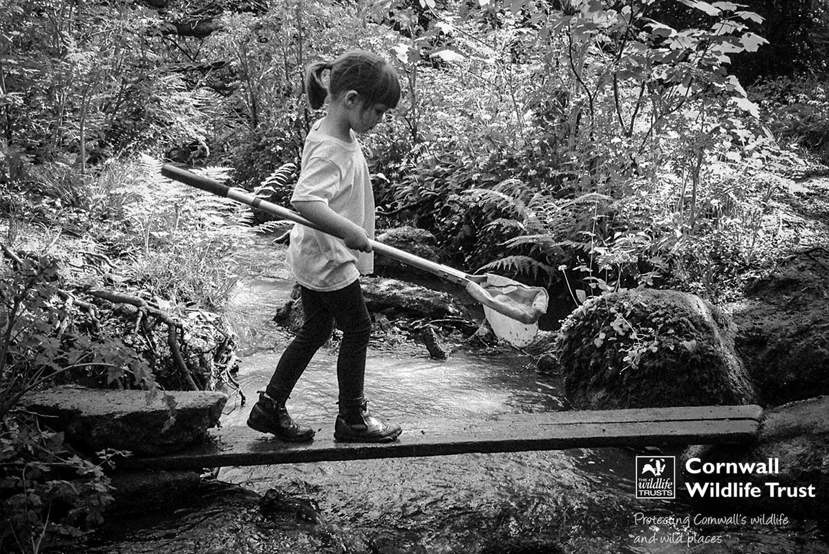 Rockpool Rambles and Beach Cleans