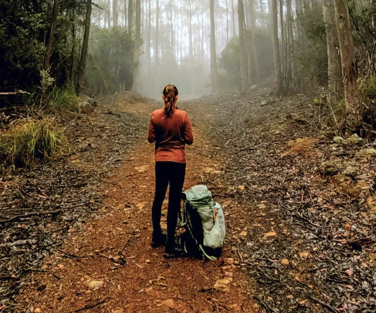 Trekking in the Tasmanian rainforest