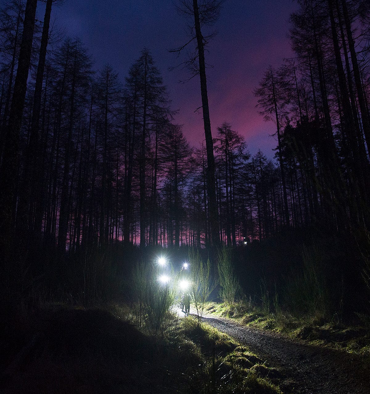 Bike Lights