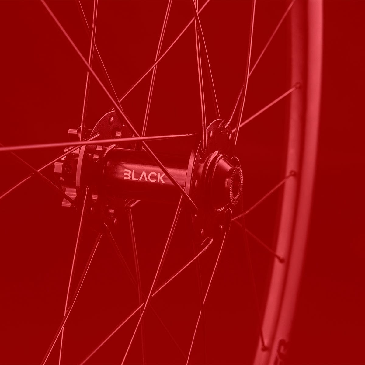 End of Season Sale - Bike and Components